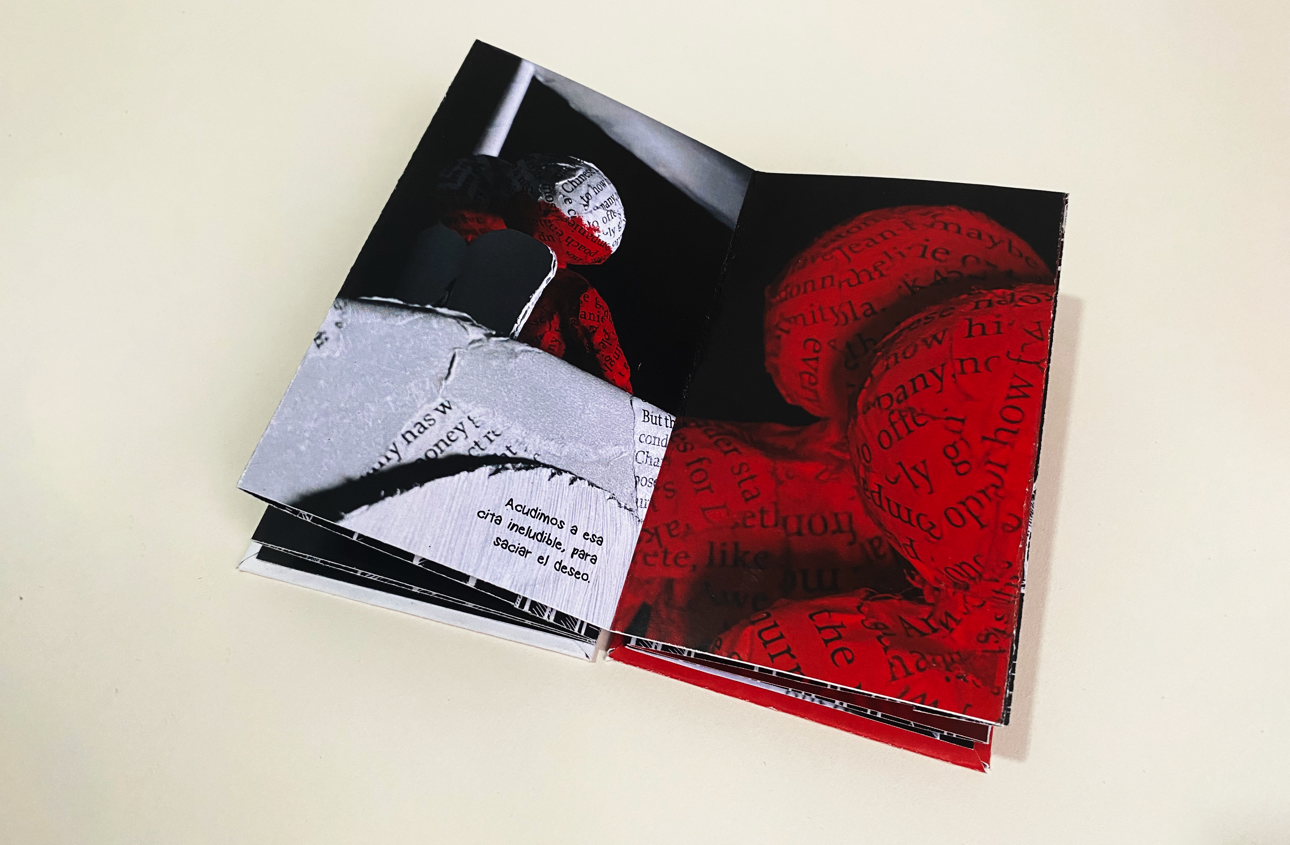 El amor efímero — interior